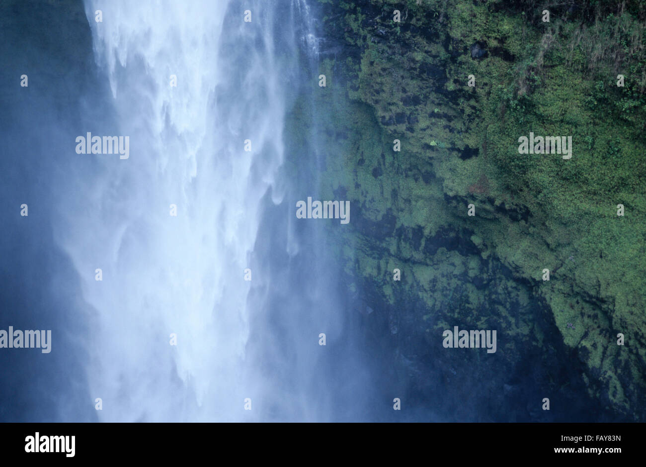 Big Island, Hawaii, `Akaka Falls detail, waterfall, Kolekole Stream Stock Photo